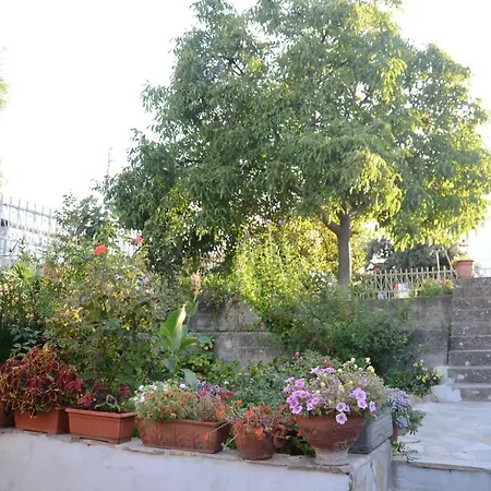 Sa Nuche Bed & Breakfast